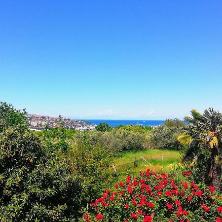 Peaceful View Apartment Копер Екстер'єр фото