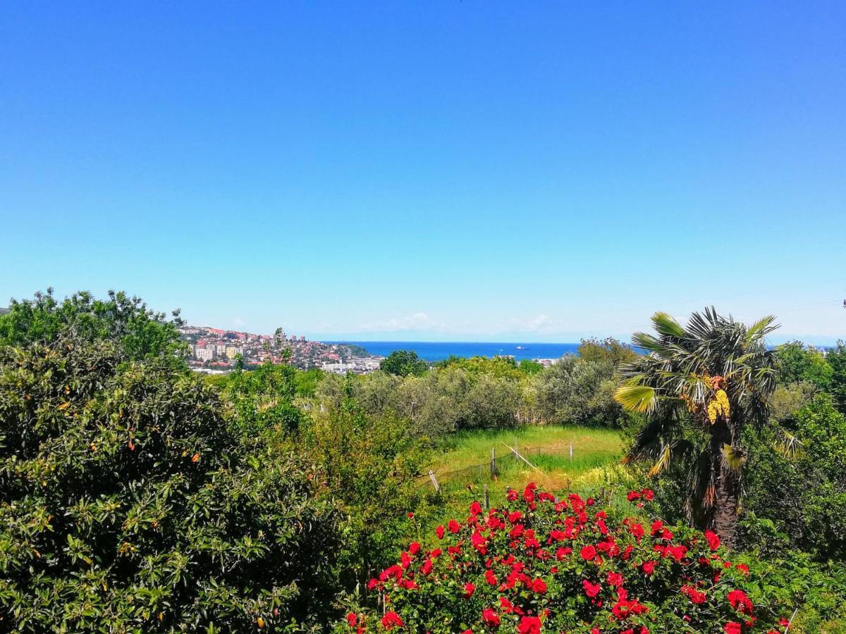 Peaceful View Apartment Копер Екстер'єр фото