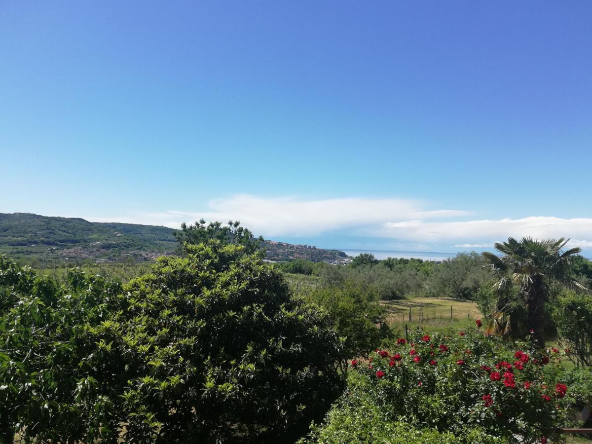 Peaceful View Apartment Копер Екстер'єр фото
