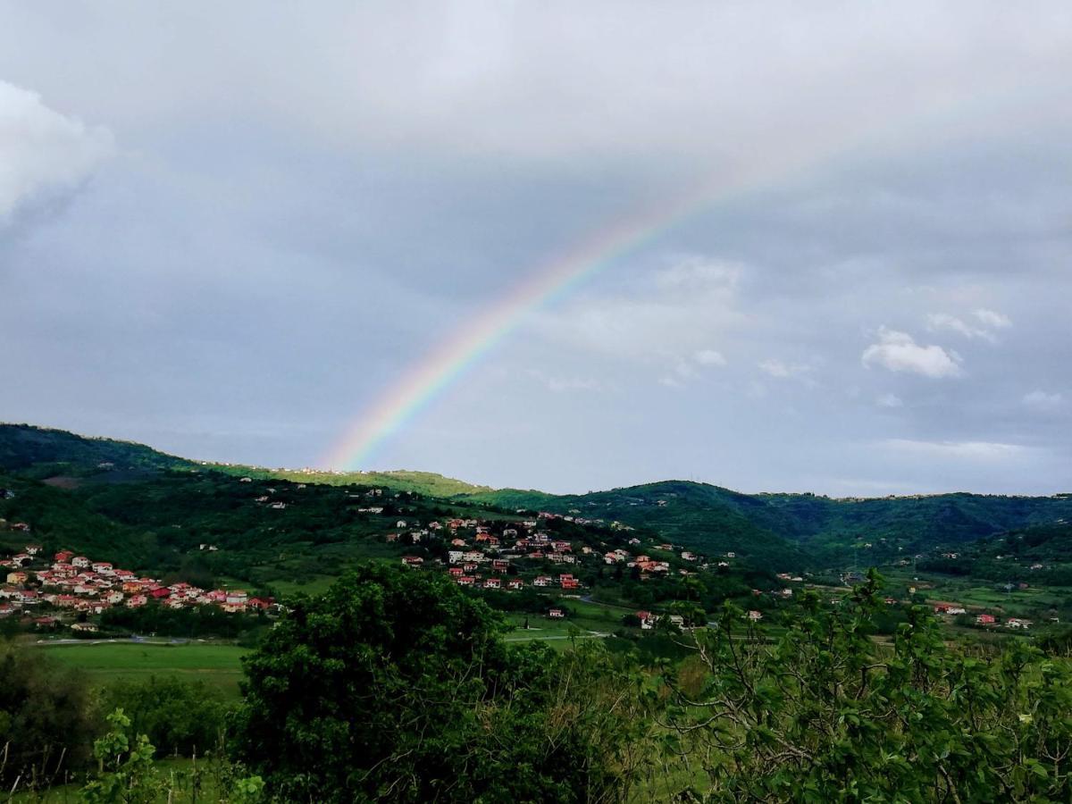 Peaceful View Apartment Копер Екстер'єр фото