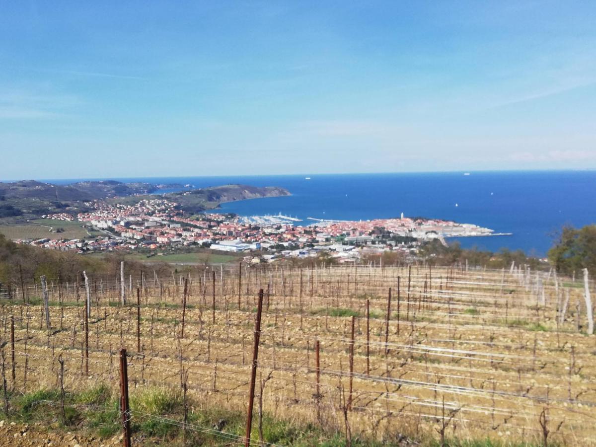 Peaceful View Apartment Копер Екстер'єр фото