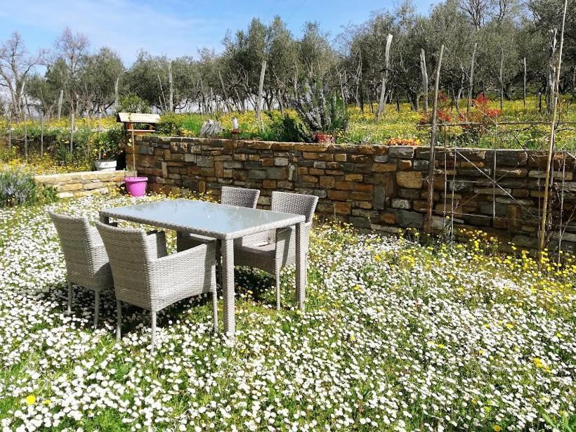 Peaceful View Apartment Копер Екстер'єр фото