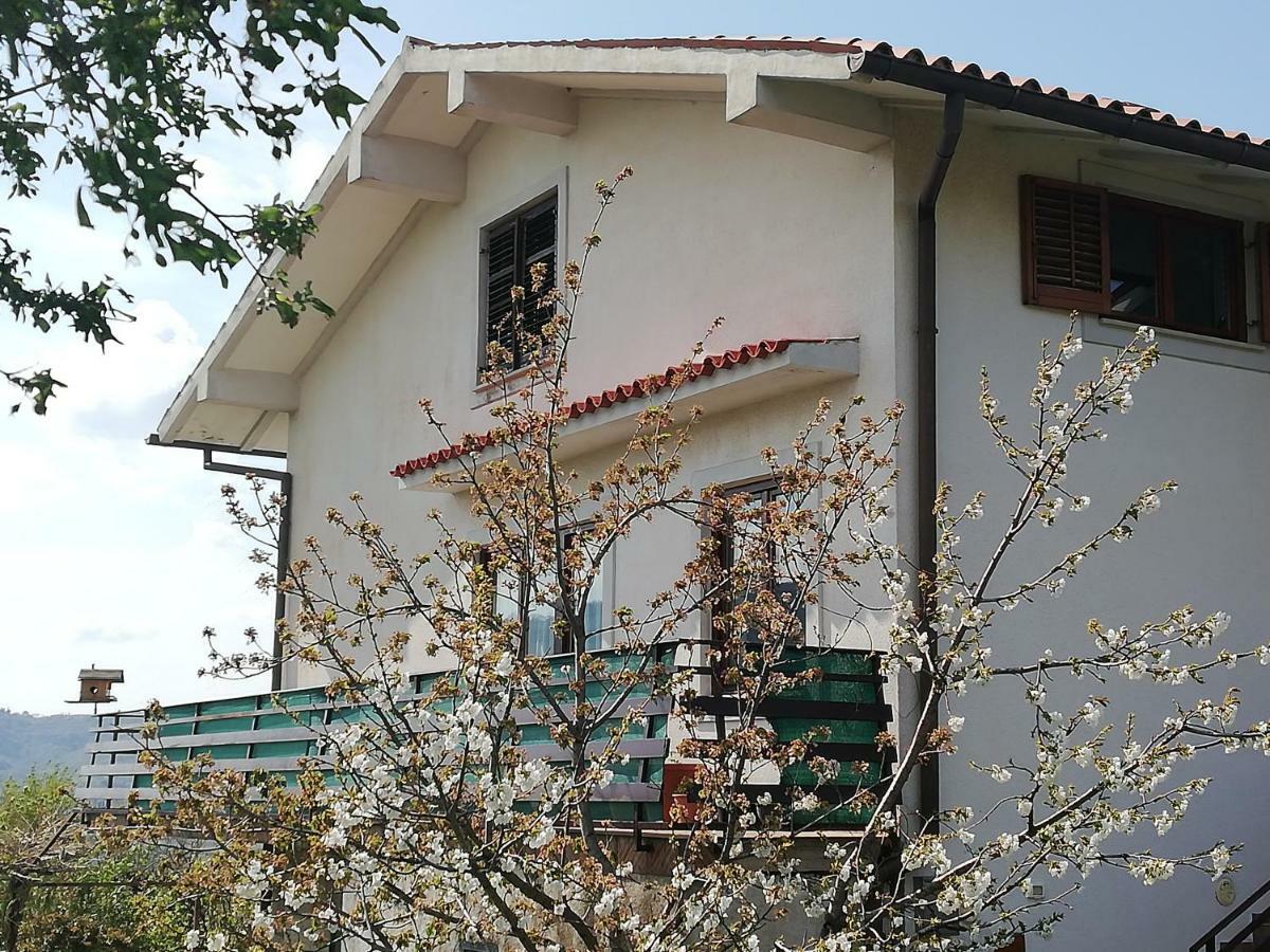 Peaceful View Apartment Копер Екстер'єр фото